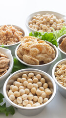 色々な種類の大豆ミート　ソイミート　プラントベースミート