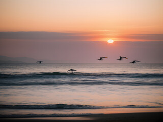 Fototapeta premium sunset at the beach