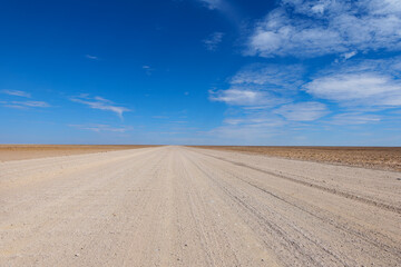wilderness of the Namib desert, Namibia Africa