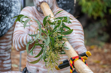 Australian aboriginal ceremony, human hand holds didgeridoo for the welcome ritual rite at indigenous community event