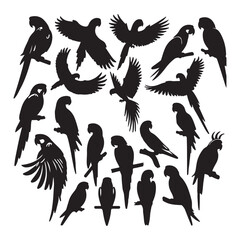 collection of birds | set of birds | set of silhouettes of birds