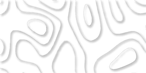 geometric white abstract papercut of line topography, Topographic map of geology and contour map geometric lines, Topographic canyon geometric map relief texture with curved layers.	