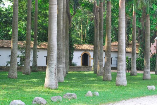 El verdor es una constante en la region,frondosas monta&ntilde;as y arboles muy verdes todo esto es Yaracuy.