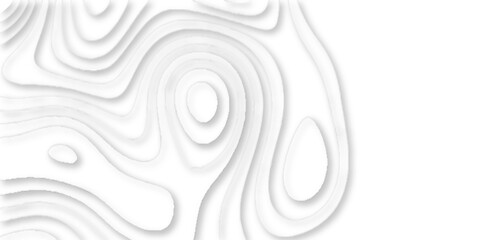 geometric white abstract papercut of line topography, Topographic map of geology and contour map geometric lines, Topographic canyon geometric map relief texture with curved layers.	