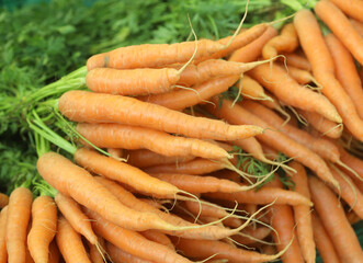 Fresh carrots vegetable on market stand. Healthy food concept.