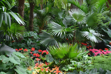 Lush Tropical Garden with Palms and Colorful Flowers, Ideal for Natural and Botanical Decor