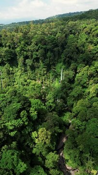 Drone flight towards a Air Terjun Sendang Gile waterfall over the jungle. Lush greenery all around. Sunny day. Senaru. Lombok. Indonesia 