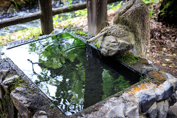 Tranquil Bamboo Water Feature in Japanese Garden