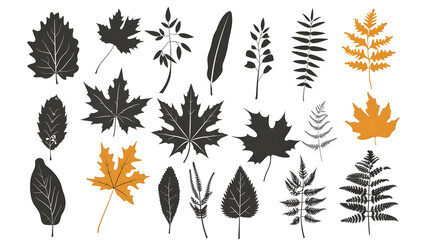 Clipart illustration of silhouette leaves set autumn on a white background, for landscape plan and architecture layout drawing, elements for environment and garden.[A-0002]
