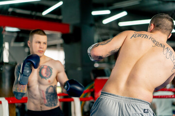 Naklejka premium in boxing fight club two young bare-chested boxers with tattoos in gray gloves gambling sparring in the ring fight to win