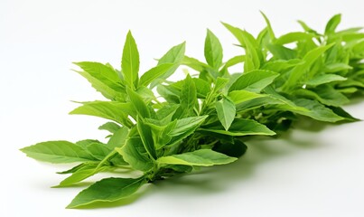 Obraz premium Macro shot of fresh tea leaves on white