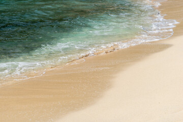 南島　扇池　小笠原