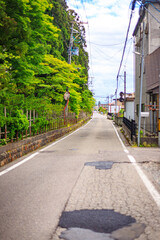 Tranquil Suburban Lane with Verdant Canopy in Japna