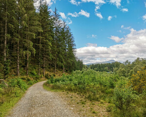 Hiking trail near Loch Ard, in Loch Lomond and the Trossachs National Park of Scotland, with pine forest to the side and mountain in background © EduardoRM