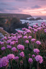 Obraz premium Sunset landscape of rocky coastline overlooking the sea and mountains with tropical plants
