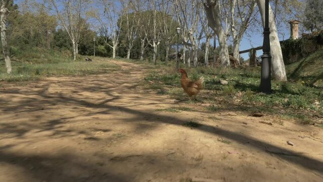 Castell de Clasqueri European castle traveling with handheld brushless gimbal