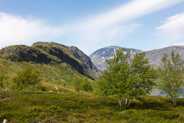 Obraz premium Norway Jotunheim park on a cloudy summer day.