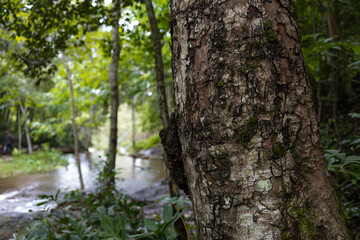 Thailand Nature, beautiful waterfalls, canals river mountains and green forest.