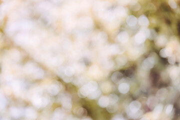 Arrière-plan flou avec rond de lumière - Bokeh naturel dans les teintes de beige