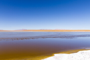 Bolivian lagoon view,Bolivia