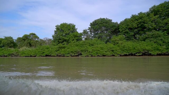 Navegar en bote por el r&iacute;o y selva