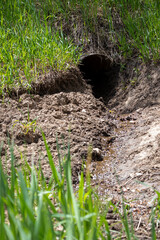 water flowing from a culvert