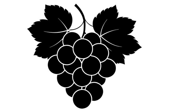 recommend clip art: grapes vector illustration silhouette