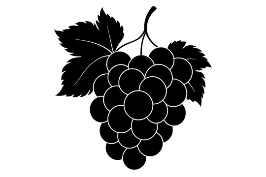 recommend clip art: grapes vector illustration silhouette