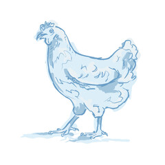 An illustrative blue chicken, inspired by illustrations of toile de jouy fabrics. Subtle blue tones and a sketchy style, drawn by hand.