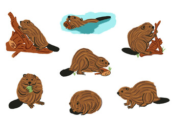 Beaver - digital drawing collection illustrations of beaver in nature life © Fernando