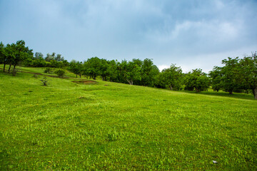 Photo with landscape and beautiful green nature in the Republic of Moldova, a small friendly country in Eastern Europe.