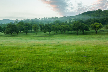 Photo with landscape and beautiful green nature in the Republic of Moldova, a small friendly country in Eastern Europe.