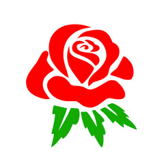 Rose Flower illustration 