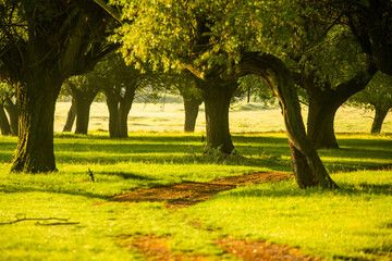 Naklejka premium Photo with landscape and beautiful green nature in the Republic of Moldova, a small friendly country in Eastern Europe.