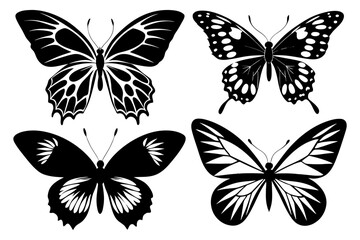 Obraz premium Butterfly silhouette vector illustration