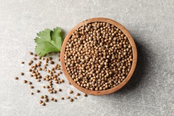 Dried coriander seeds in bowl and green leaf on light gray textured table, flat lay