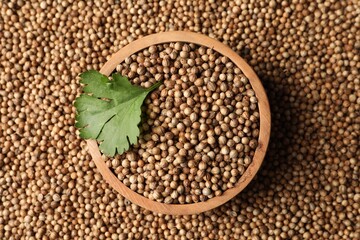 Bowl with dried coriander seeds and green leaf, top view
