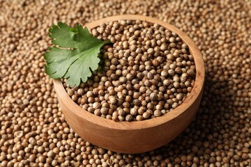 Bowl with dried coriander seeds and green leaf, closeup