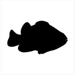 Red fish silhouette isolated on white background. Red fish icon vector illustration design.