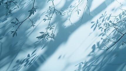 Serene Minimalist Blue Abstract with Intricate Leaf Shadow Backdrop for Product Display