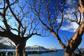 Asadang Bridge (Pier) at Koh Sichang island, Important places and popular tourist destinations in Chonburi province,Thailand.