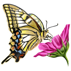 Hand drawn Watercolor colorful butterflies, isolated on transparent background.