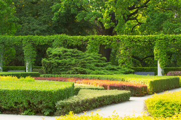 Fototapeta premium beautiful urban summer park in sunlight