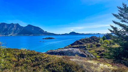 Obraz premium Lofoten in Norwegen