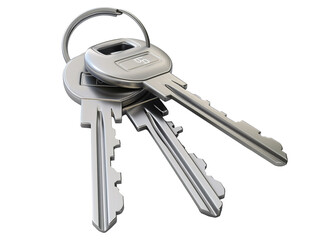 a group of keys on a key ring