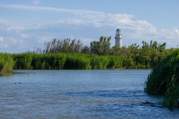 Faro nella laguna tra i canneti