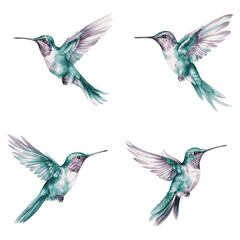 Obraz premium A watercolor painting of four hummingbirds in flight against a white background. The birds are depicted in a realistic style with intricate details