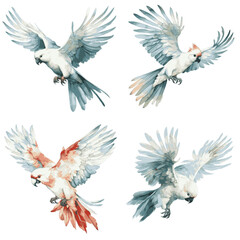 Obraz premium A digital watercolor illustration of four cockatoos flying in different directions against a white background