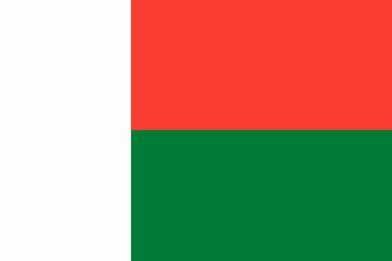 The flag of Madagascar. Flag icon. Standard color. Standard size. A rectangular flag. Computer illustration. Digital illustration. Vector illustration.