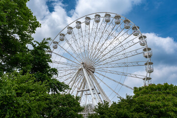 ferris wheel in the park